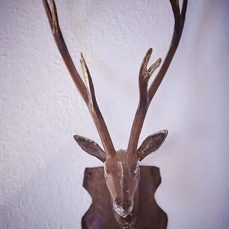 Keil - 公寓 萨尔巴赫