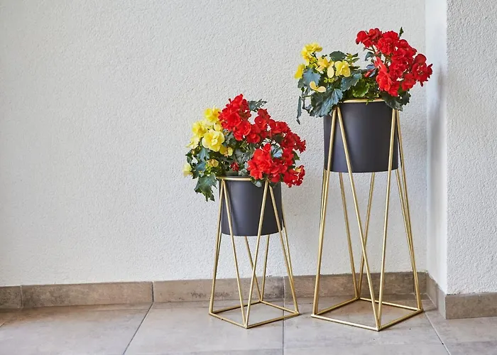 Apartment Landhaus Keil - Apartments Saalbach-Hinterglemm